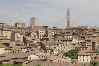 Buildings in a town