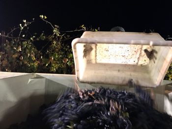 Close-up of water at night