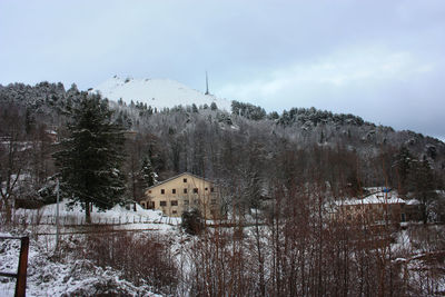 Trees and buildings against sky during winter