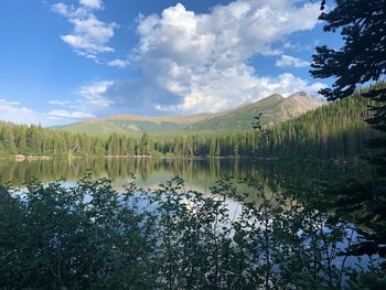 Scenic view of lake by trees against sky