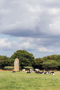 Menhir of kerguezennec, begard, department cotes-d'armor, brittany, france