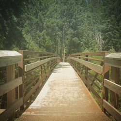 Footbridge in forest