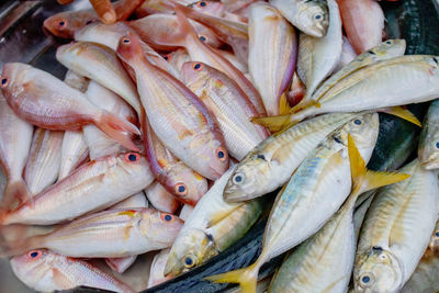 High angle view of fish for sale in market