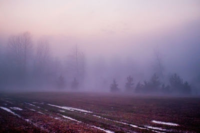 Scenic view of agricultural field against sky during foggy weather