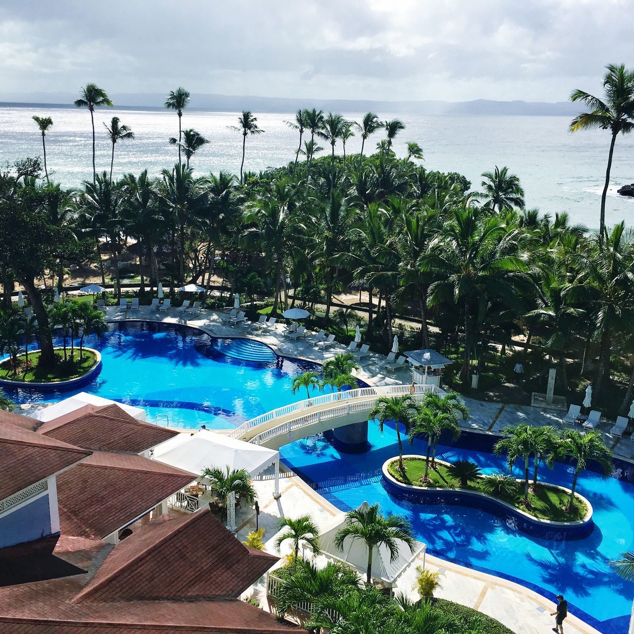 swimming pool, water, tree, high angle view, sky, sunlight, palm tree, outdoors, day, cloud - sky, tranquility, nature, scenics, no people, vacations, beauty in nature