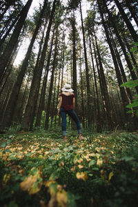 Rear view full length of woman standing at forest