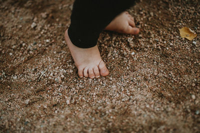 Low section of baby girl standing on land