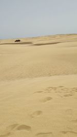 Scenic view of desert against clear sky