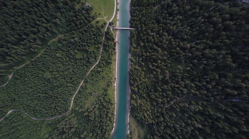 High angle view of road amidst trees in forest
