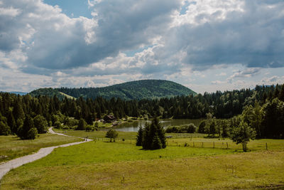Scenic view of trees on field against sky