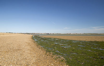 Scenic view of agricultural field against blue sky