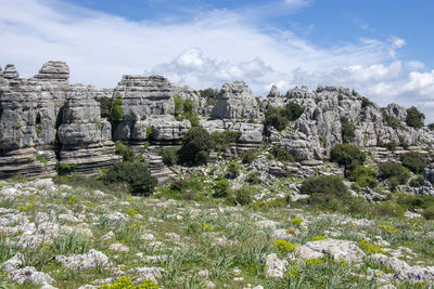 Panoramic view of rocks and trees against sky