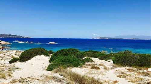 Scenic view of sea against clear blue sky