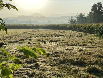 Scenic view of land against sky
