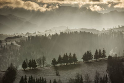 Panoramic view of lake and trees against sky