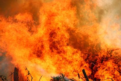 Detail shot of fire