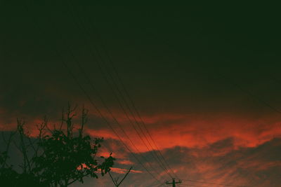 Silhouette of trees at sunset