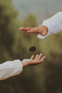 Close-up of hand holding leaf