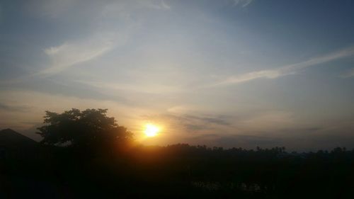 Silhouette trees against sky during sunset