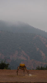 Scenic view of landscape against sky during rainy season