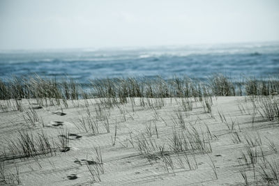 Scenic view of sea against sky during winter