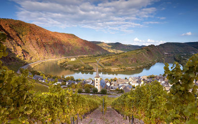 Panoramic image of bremm with loop of moselle river, germany