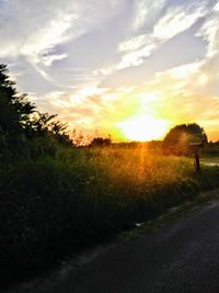 Scenic view of field against sky during sunset