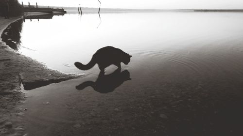water