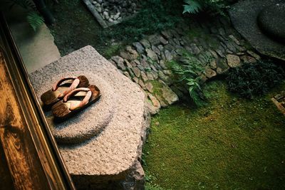 High angle view of grass in water