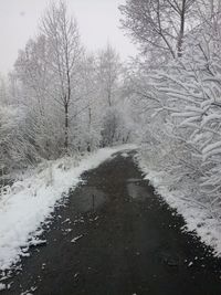 Road amidst bare trees during winter