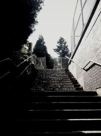 Low angle view of staircase