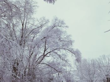 Low angle view of bare trees against clear sky