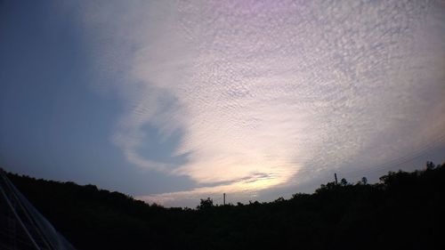 Silhouette trees against sky during sunset