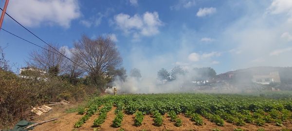 Panoramic shot of agricultural field against sky