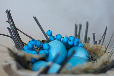 Close-up of multi colored candies