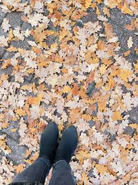 Low section of person standing on the autumn leaves