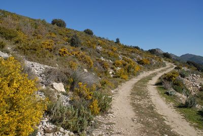 Mountain track on hillside near benimaurell, vall de laguar, alicante province, spain