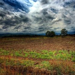 Scenic view of field against cloudy sky