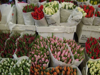 High angle view of colorful tulips for sale at shop