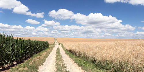 Dirt road amidst agricultural field against sky