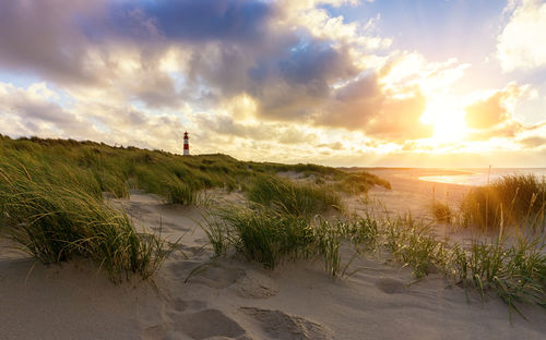 Scenic view of beach against sky during sunset