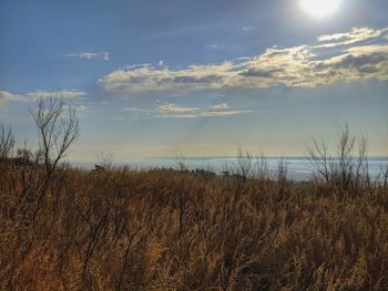 Scenic view of land against sky during sunset