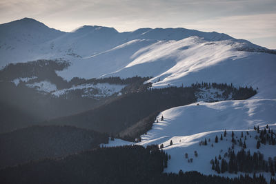 Winter landscape from rodnei mountain. a cold foggy morning with heavy snow.