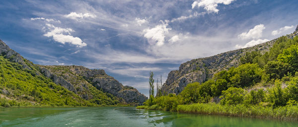 Panoramic view of lake amidst trees against sky