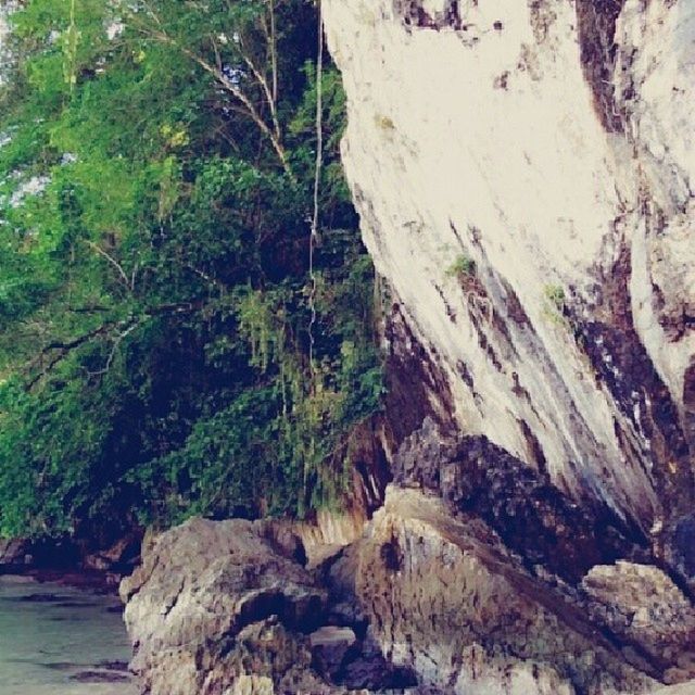 rock - object, rock formation, rock, nature, water, beauty in nature, tranquility, tranquil scene, scenics, cliff, tree, high angle view, day, plant, outdoors, non-urban scene, mountain, moss, rough, rocky