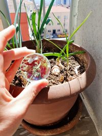 Midsection of person holding potted plant