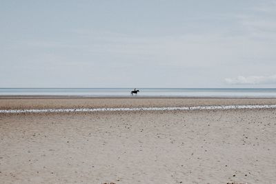 Person riding horse at beach