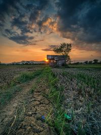 Scenic view of agricultural field against sky during sunset