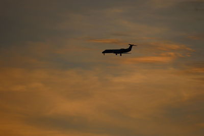 Low angle view of silhouette bird flying in sky