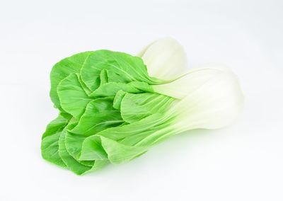 Close-up of leaf against white background